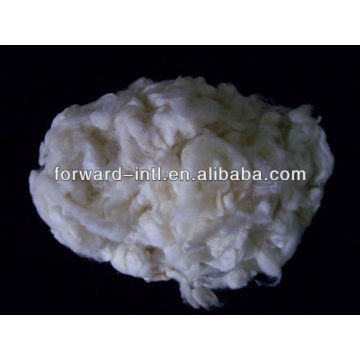 scoured anti-shrink wool fiber